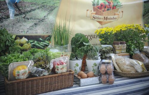 Produção de alimentos e sustentabilidade