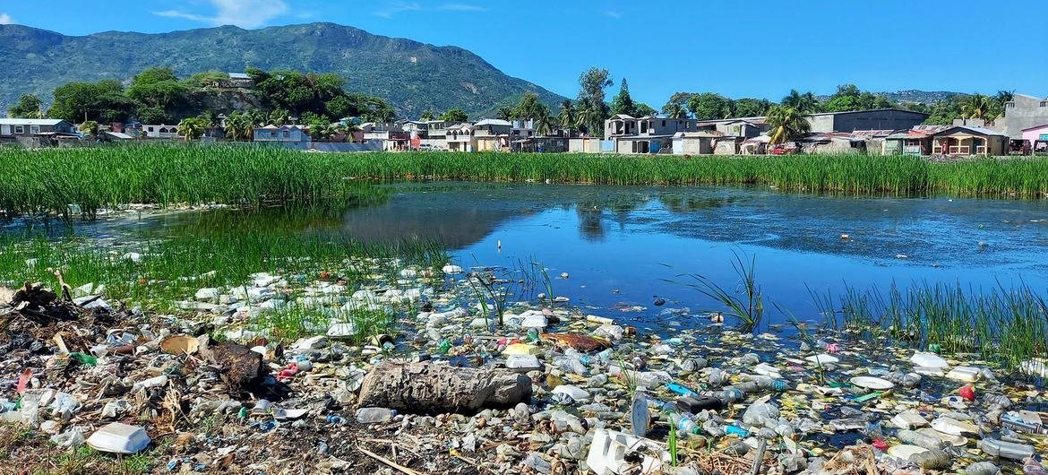 50% dos países sem alerta para prevenir desastres naturais