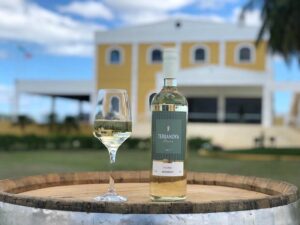 WhatsApp-Image-2022-11-03-at-20.51.08-2-300x225 Brasil conquista 1ª IG de Vinhos Tropicais do mundo