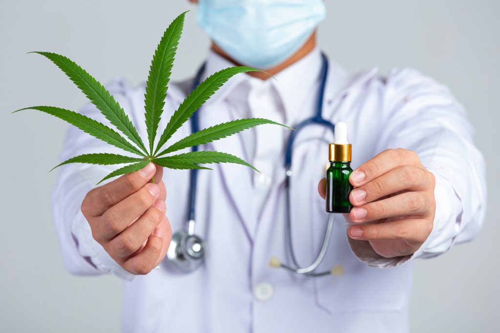 Pernambuco autoriza cultivo e produção de cannabis medicinal