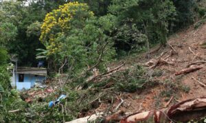 Foto-de-Rovena-Rosa-da-Agencia-Brasil-300x179 Desastres naturais não estão na agenda pública dos poderes
