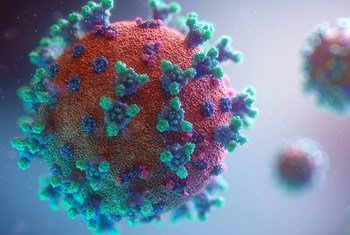 Covid-19: variante Ômicron é predominante e continua evoluindo