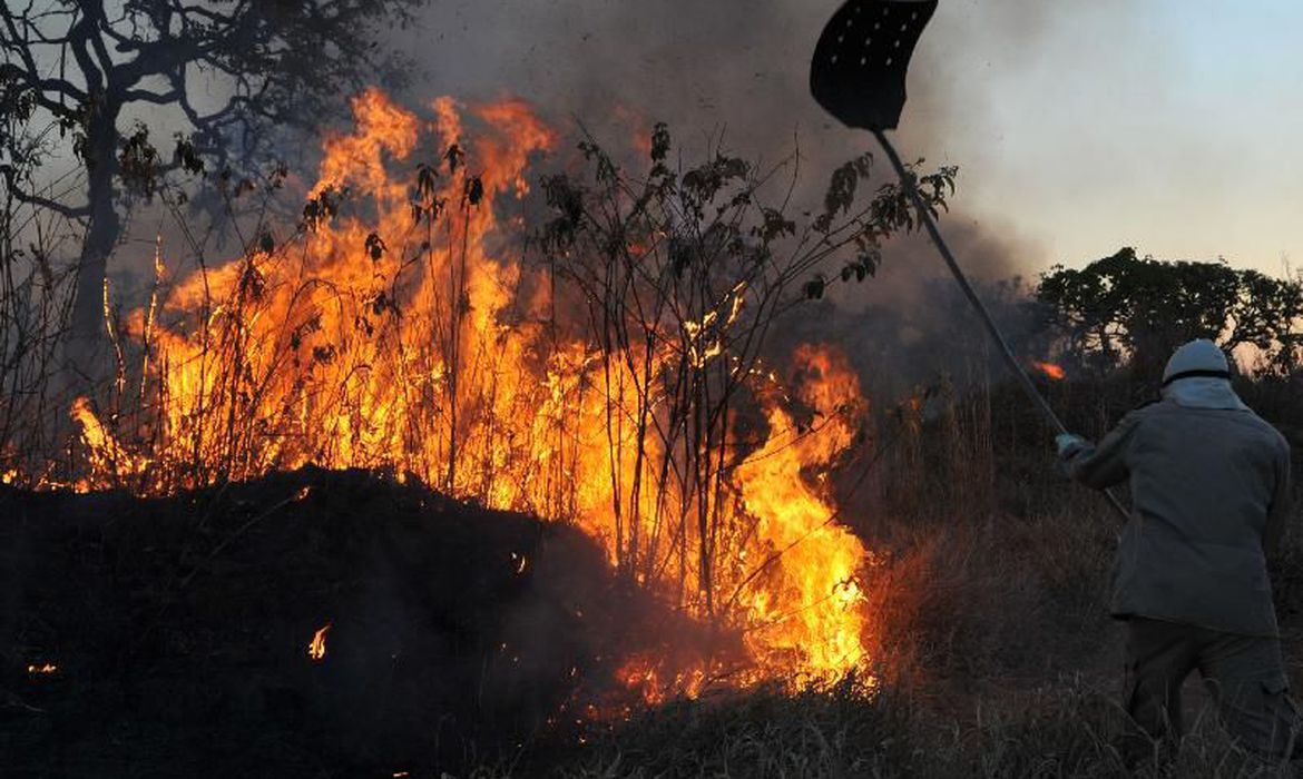 Focos de incêndios atingem todos os biomas do país