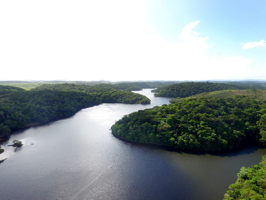Semana do Meio Ambiente tem lançamento de projetos em Suape 