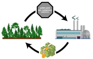 arte-mercado-de-carbono-300x192 ABNT lança a norma sobre neutralidade de carbono no Brasil