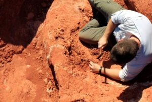 excavation_at_the_buriol_site_3_by_janaina_brand_dillmann-300x201 Pesquisadores descobrem fóssil precursor dos pterossauros