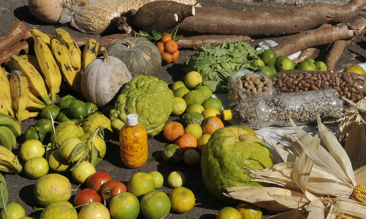 Governo Federal estimula produção sustentável de alimentos em áreas urbanas