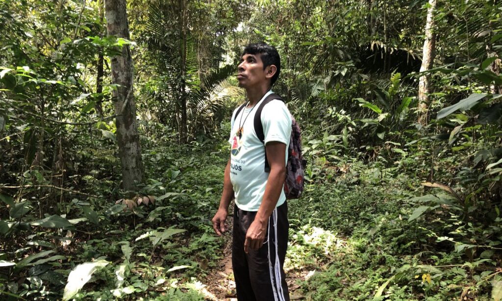 raimundo_vasconcelos-1024x613 Queimadas sofrem queda na Amazônia, diz INPE