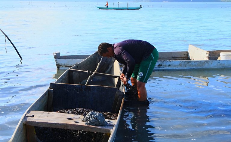 Pescadores afetados por colapso em mina da Braskem pedem auxílio