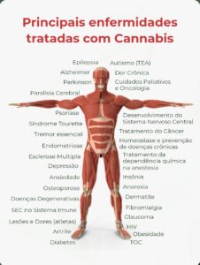Screenshot_20231208_042953_Chrome-226x300 Uso Medicinal da Cannabis sativa em debate no Recife